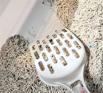 小鹿可可猫砂使用体验测评，适合懒人铲屎官的混合猫砂
