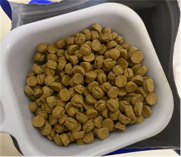 烘焙猫粮是否适合猫咪？营养与适口性测评