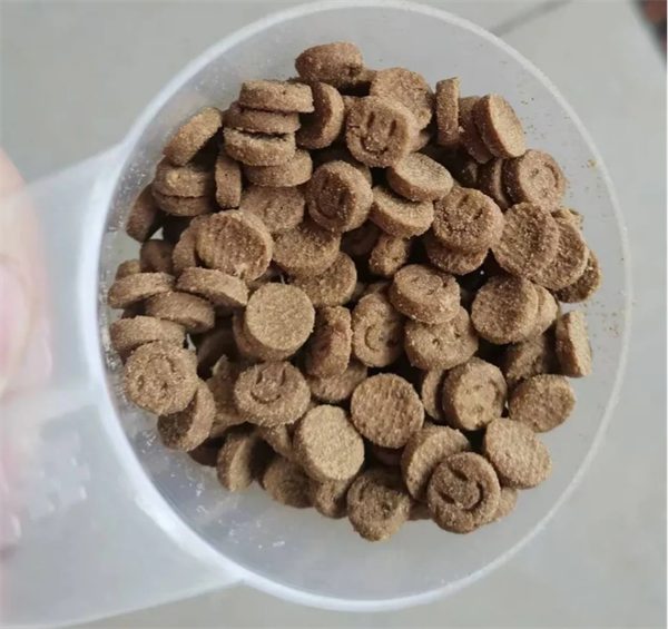 国产猫粮品质提升,江小傲烘焙粮测评推荐 国产猫粮品质提升,江小傲烘焙粮测评推荐