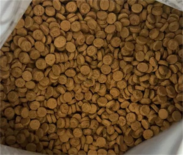 真实测评!烘焙猫粮营养高适合挑食猫咪 真实测评!烘焙猫粮营养高适合挑食猫咪