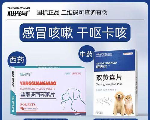 狗狗流鼻涕咳嗽怎么治疗？药物选择与护理指南