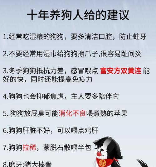 狗狗流鼻涕咳嗽怎么治疗？药物选择与护理指南