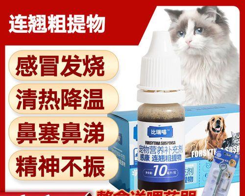 狗狗流鼻涕咳嗽怎么治疗？药物选择与护理指南