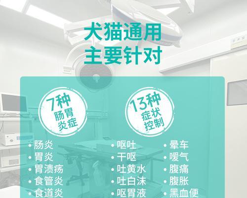 狗狗呕吐怎么办?常用药物及护理建议 狗狗呕吐怎么办?常用药物及护理建议