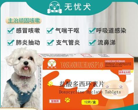 狗狗呕吐怎么办?常用药物及护理建议 狗狗呕吐怎么办?常用药物及护理建议