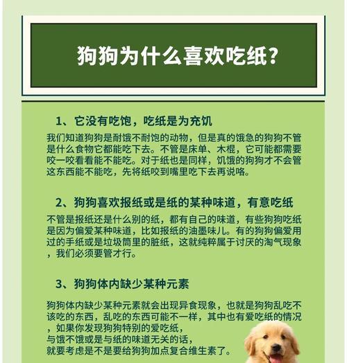 金毛犬性格变化阶段与成因解析