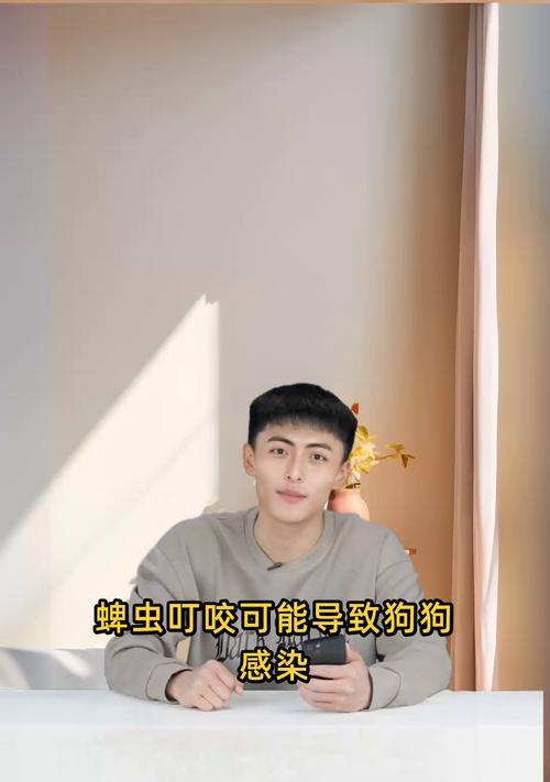 犬焦虫危害及预防措施，守护狗狗健康