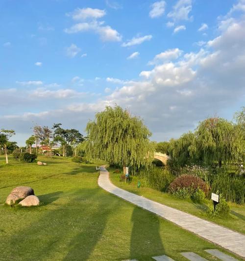 上海遛狗公园推荐，与爱宠共享欢乐时光