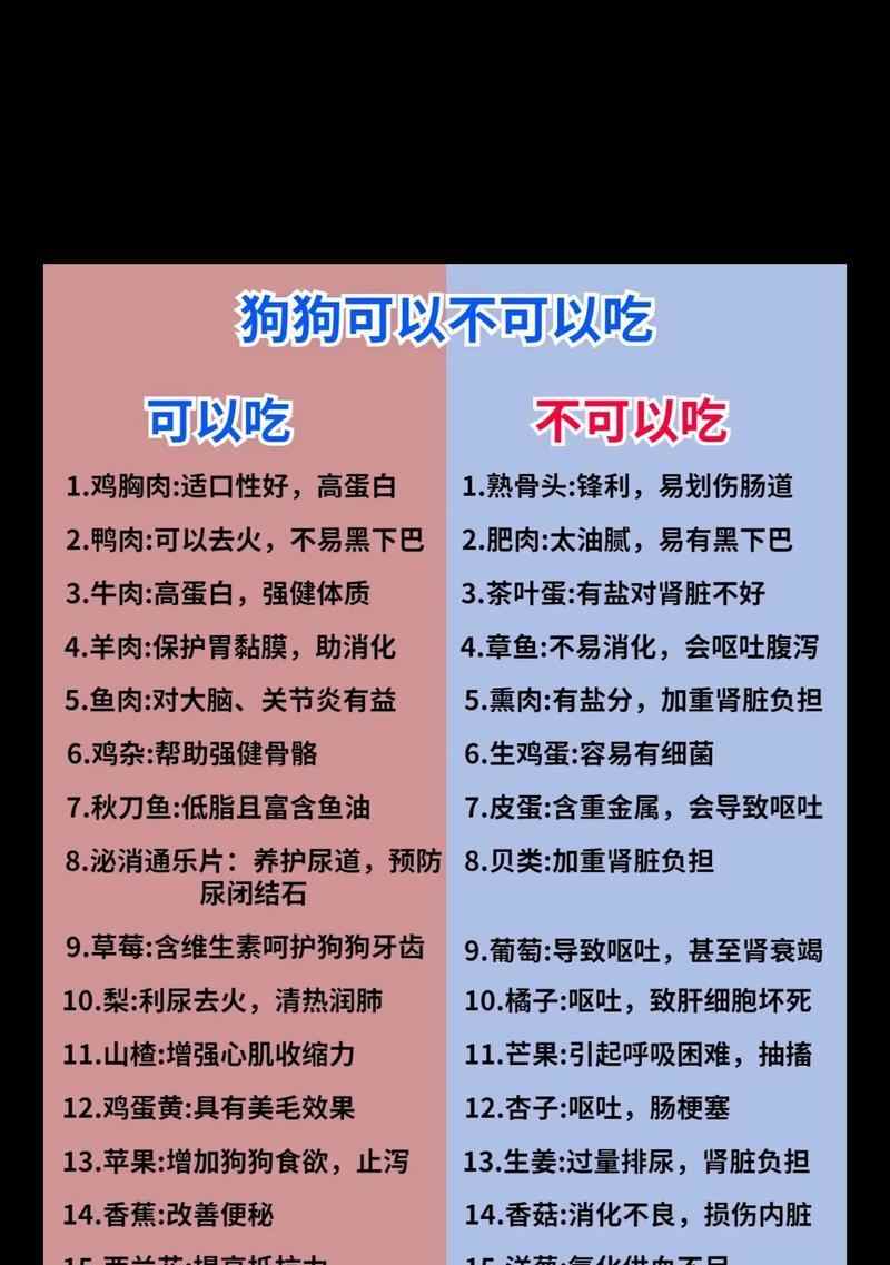 三个月泰迪饮食注意事项，科学喂养指南