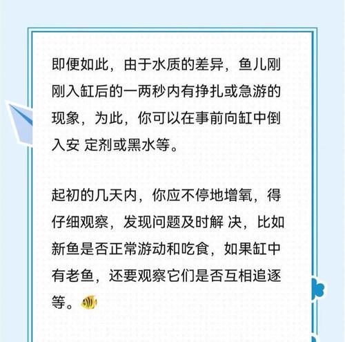养鱼初学者必知——进缸后喂食频率与注意事项