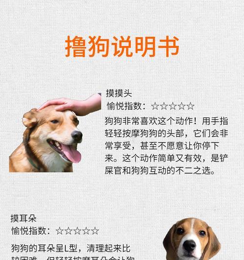 撸狗的正确姿势与技巧,打造亲密关系 撸狗的正确姿势与技巧,打造亲密关系