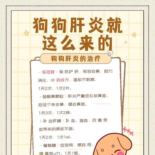 狗狗肝炎症状识别与预防方法 狗狗肝炎症状识别与预防方法