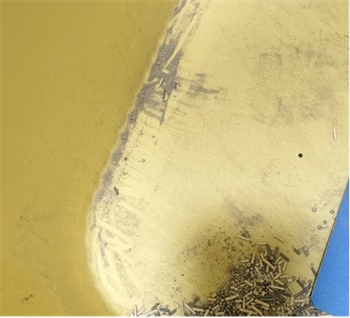 宠呦呦猫砂测评：除臭强但易掉色，白猫慎用