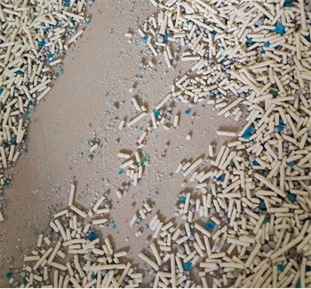 麦都狗混合豆腐猫砂测评：结团除臭表现稳定，适合懒人使用