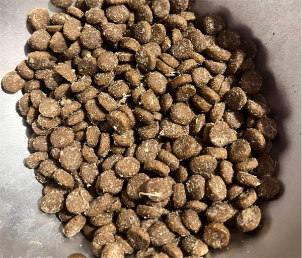 纯福猫粮测评:低敏好消化,高蛋白配方更健康 纯福猫粮测评:低敏好消化,高蛋白配方更健康