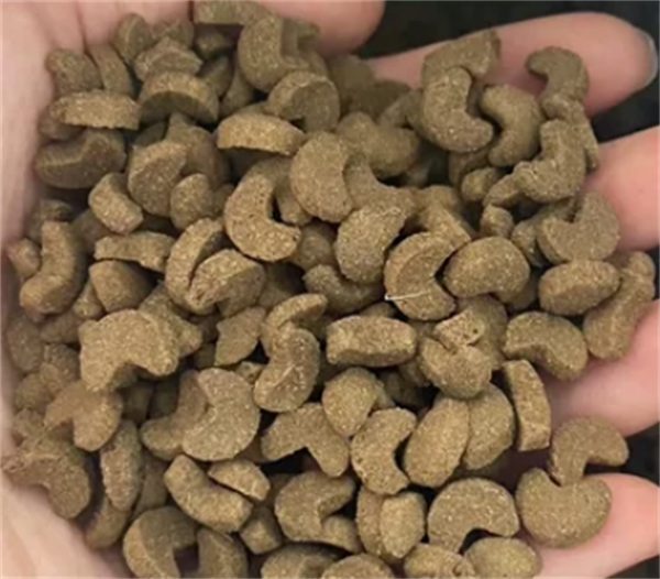 柯基掉毛改善推荐狗粮测评，营养全面适合小短腿