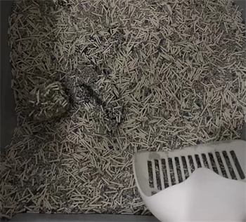 平价猫砂推荐：混合豆腐砂好用吗？