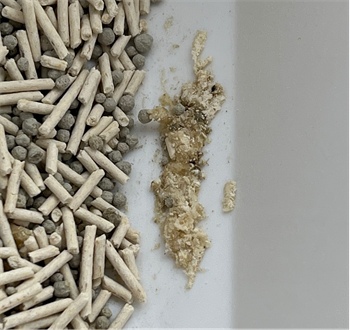 平价猫砂推荐：混合豆腐砂好用吗？