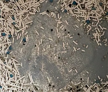 平价猫砂推荐：混合豆腐砂好用吗？