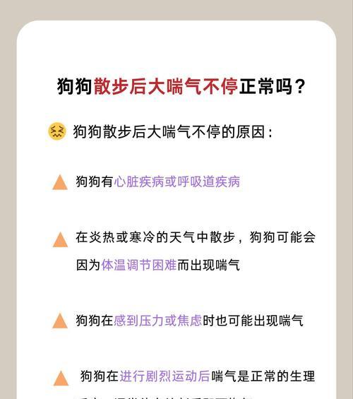 狗狗伸舌头喘气的科学原因与健康提示 狗狗伸舌头喘气的科学原因与健康提示