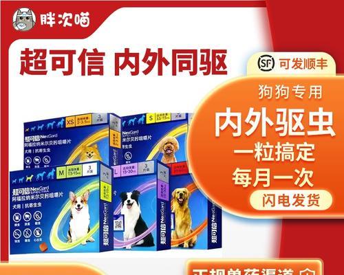 狗狗驱虫方法指南：保障健康的关键措施