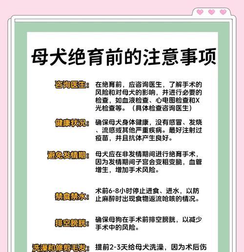 小狗伤口洗澡注意事项与正确方法 小狗伤口洗澡注意事项与正确方法