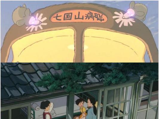 龙猫妈妈洗澡频率及注意事项指南 龙猫妈妈洗澡频率及注意事项指南