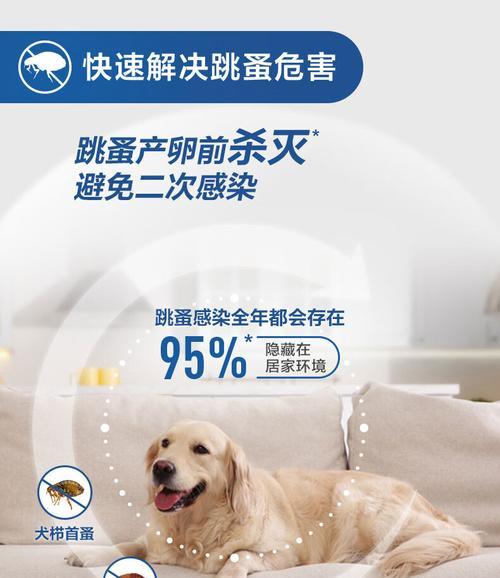 进口打虫药的种类与健康应用解析