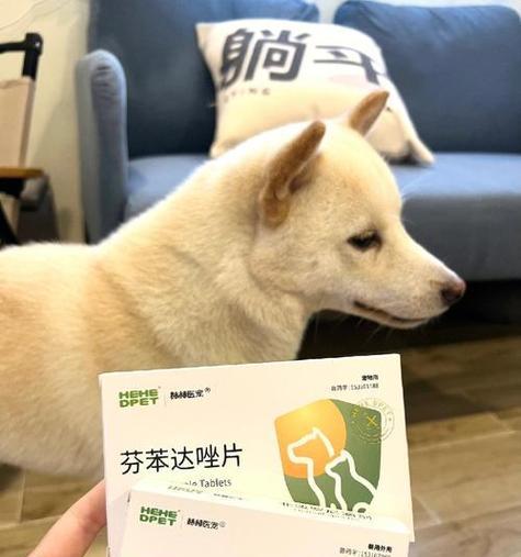 进口打虫药的种类与健康应用解析