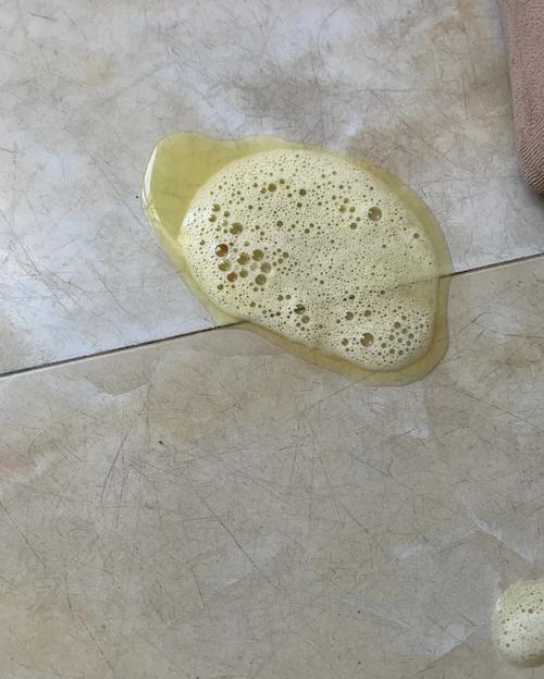 狗狗胰腺炎治疗全攻略，饮食与习惯关键