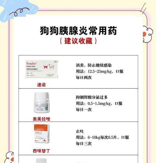 狗狗胰腺炎治疗全攻略，饮食与习惯关键