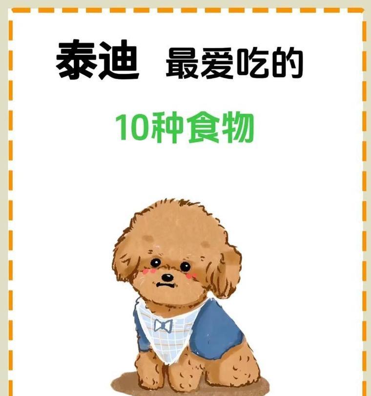 4个月泰迪营养需求与科学喂养指南