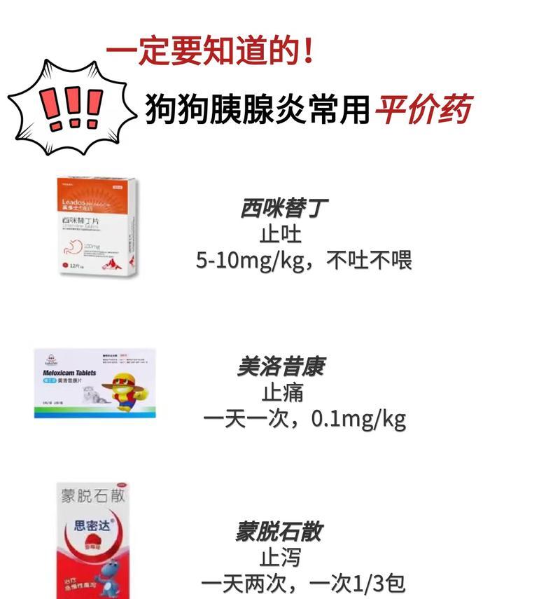 狗狗胰腺炎治疗全攻略，饮食与习惯关键