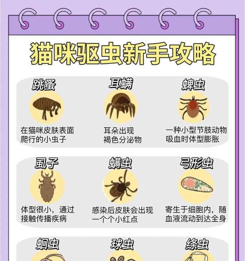 猫咪体内驱虫的重要性及科学驱虫方法