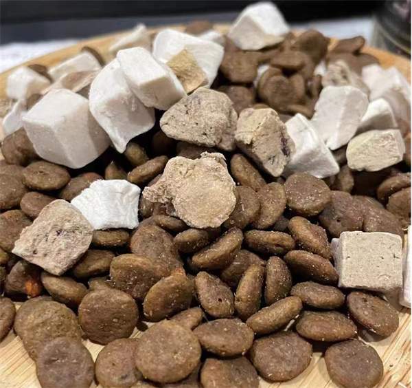 领先金装鲜肉犬粮测评，适合毛发干枯狗狗的优质选择