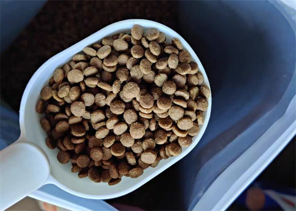 红门宴4.0猫粮性价比测评:高营养高适口性 红门宴4.0猫粮性价比测评:高营养高适口性