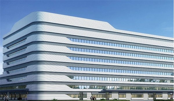 领先金装鲜肉犬粮测评，适合毛发干枯狗狗的优质选择