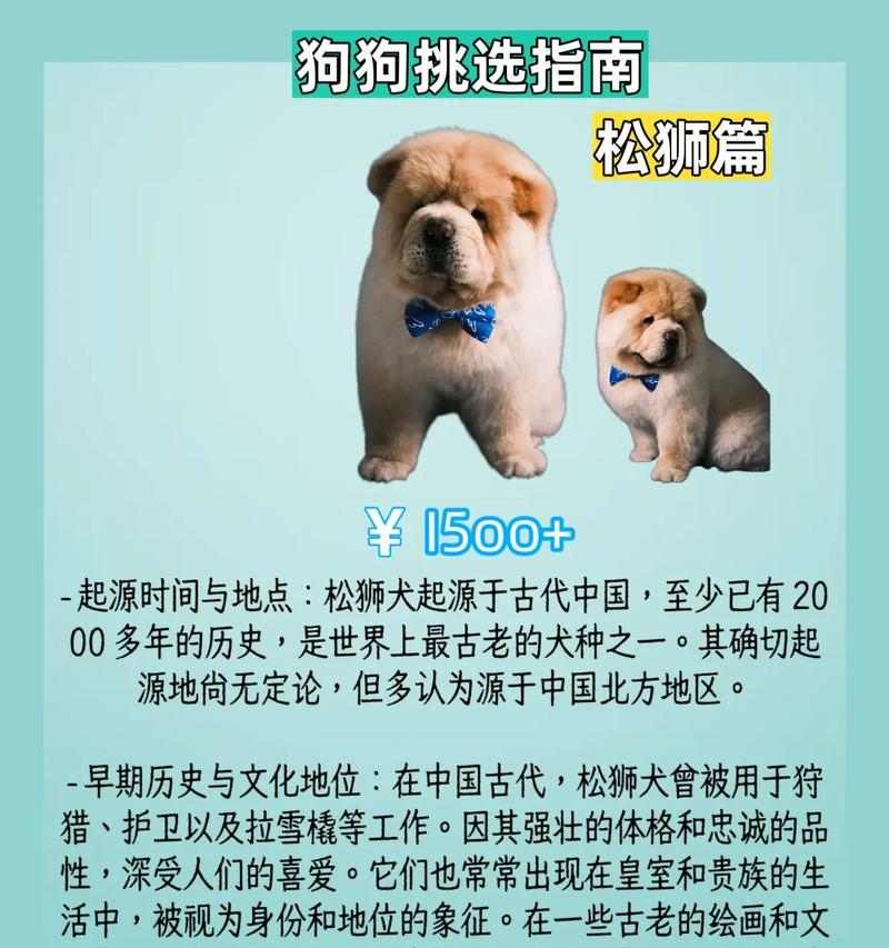 成犬松狮每日狗粮摄入量指南 成犬松狮每日狗粮摄入量指南
