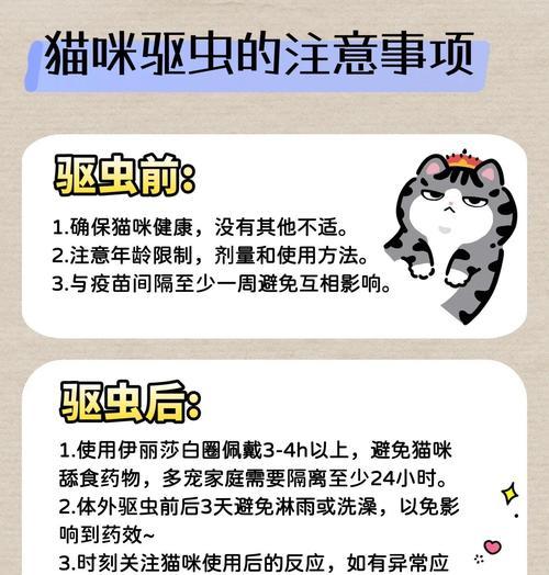 铲屎官必看！猫咪驱虫方法与注意事项