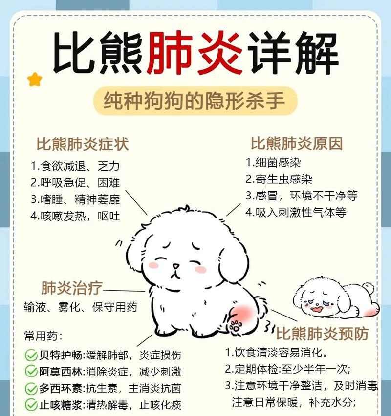 科学养护比熊犬指南,健康快乐成长必备知识 科学养护比熊犬指南,健康快乐成长必备知识