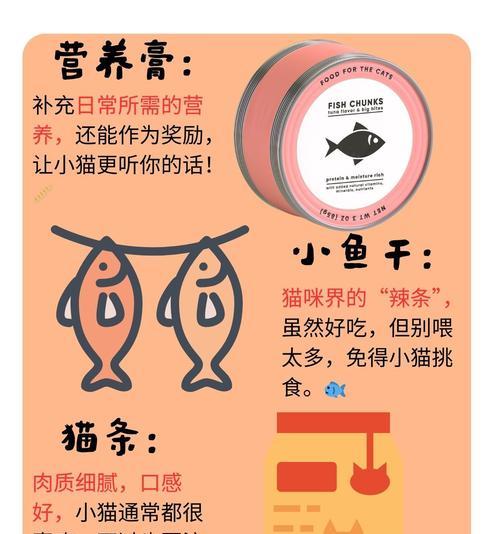 不满2月小猫咪科学喂养指南