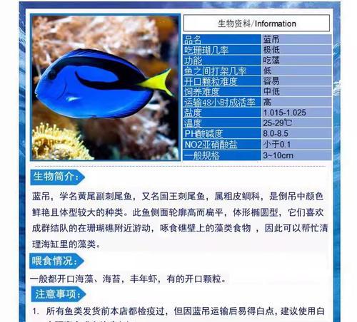 珍珠帆吊的饲养技巧与日常养护指南