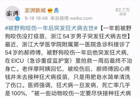 狗狗打完狂犬疫苗后洗澡注意事项