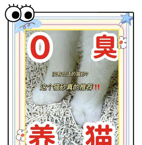 猫砂耐用性解析：如何延长使用时间与节省成本
