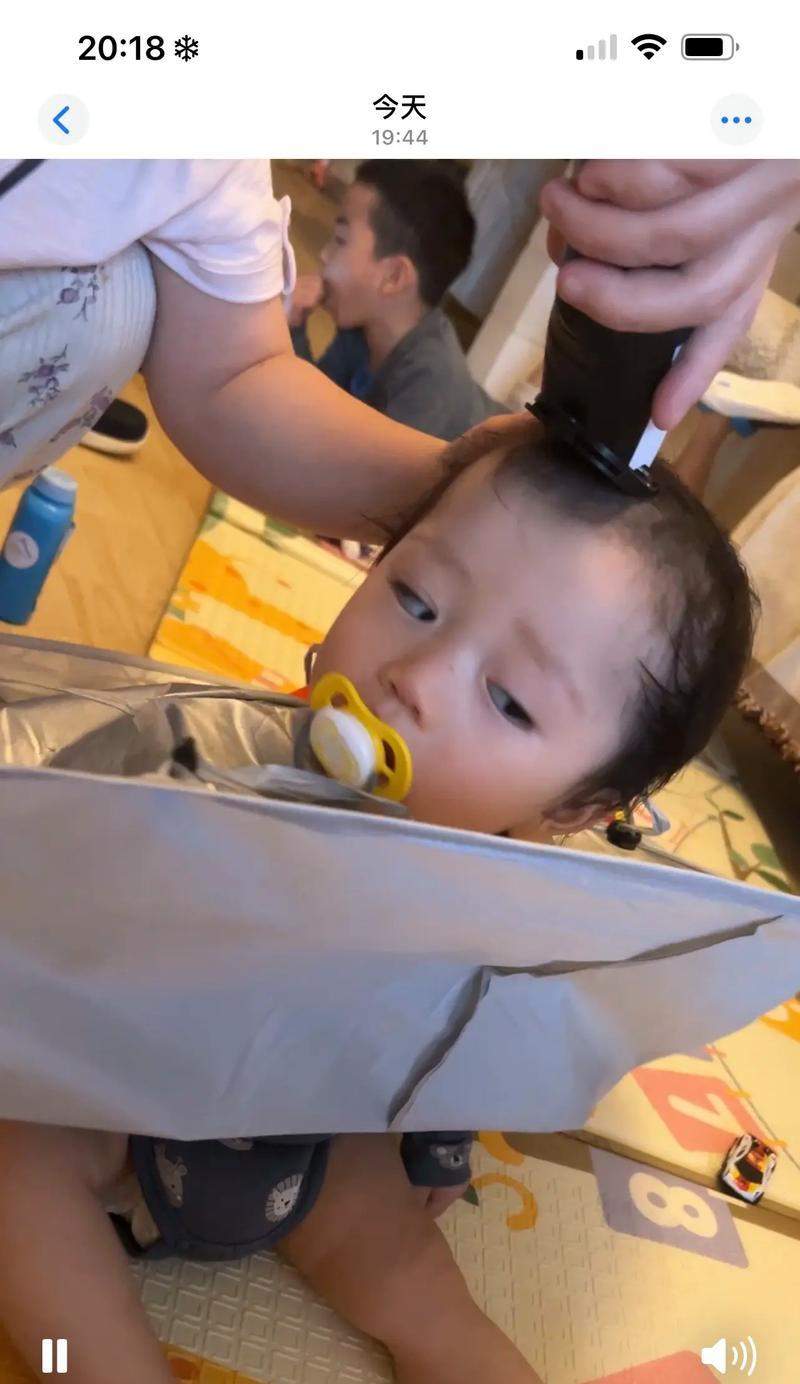 萨摩剃胎毛的黄金时机，让宠物更健康舒适