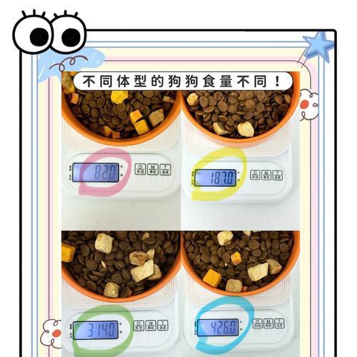 狗狗食量调控指南:食物类型与生长阶段的关键作用 狗狗食量调控指南:食物类型与生长阶段的关键作用