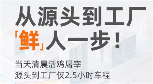 鲜肉猫粮测评：高蛋白低敏配方，美毛护胃效果佳