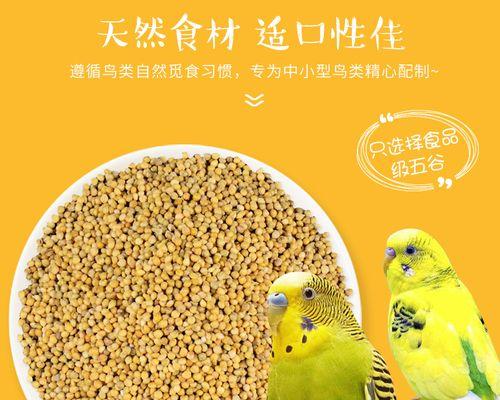 刚出生的虎皮鹦鹉吃什么？全面食谱指南