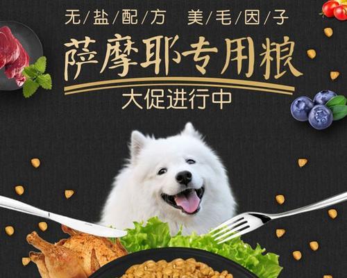 狗狗如何防止长白毛？营养饮食是关键