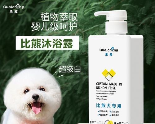 狗狗如何防止长白毛？营养饮食是关键